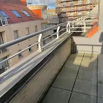 Cezanne App 0501 * نيوبورت
