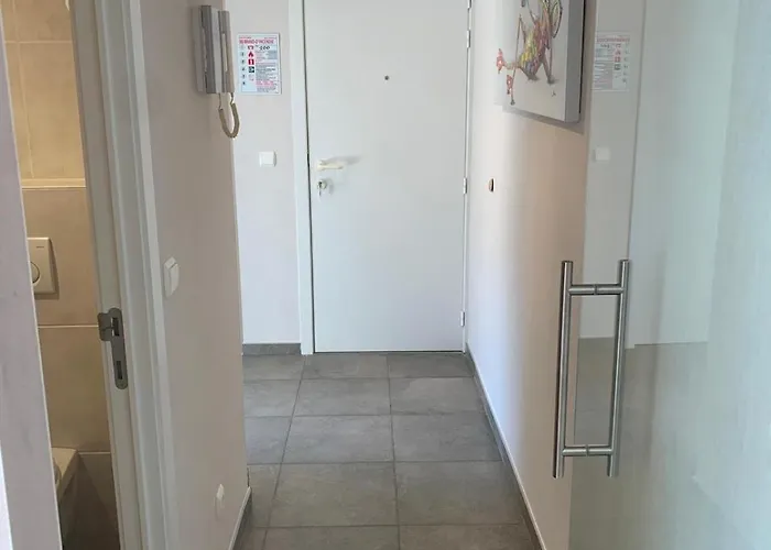 Cezanne App 0501 * ניופורט