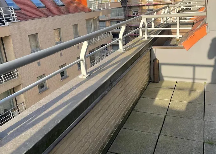 Cezanne App 0501 * ניופורט